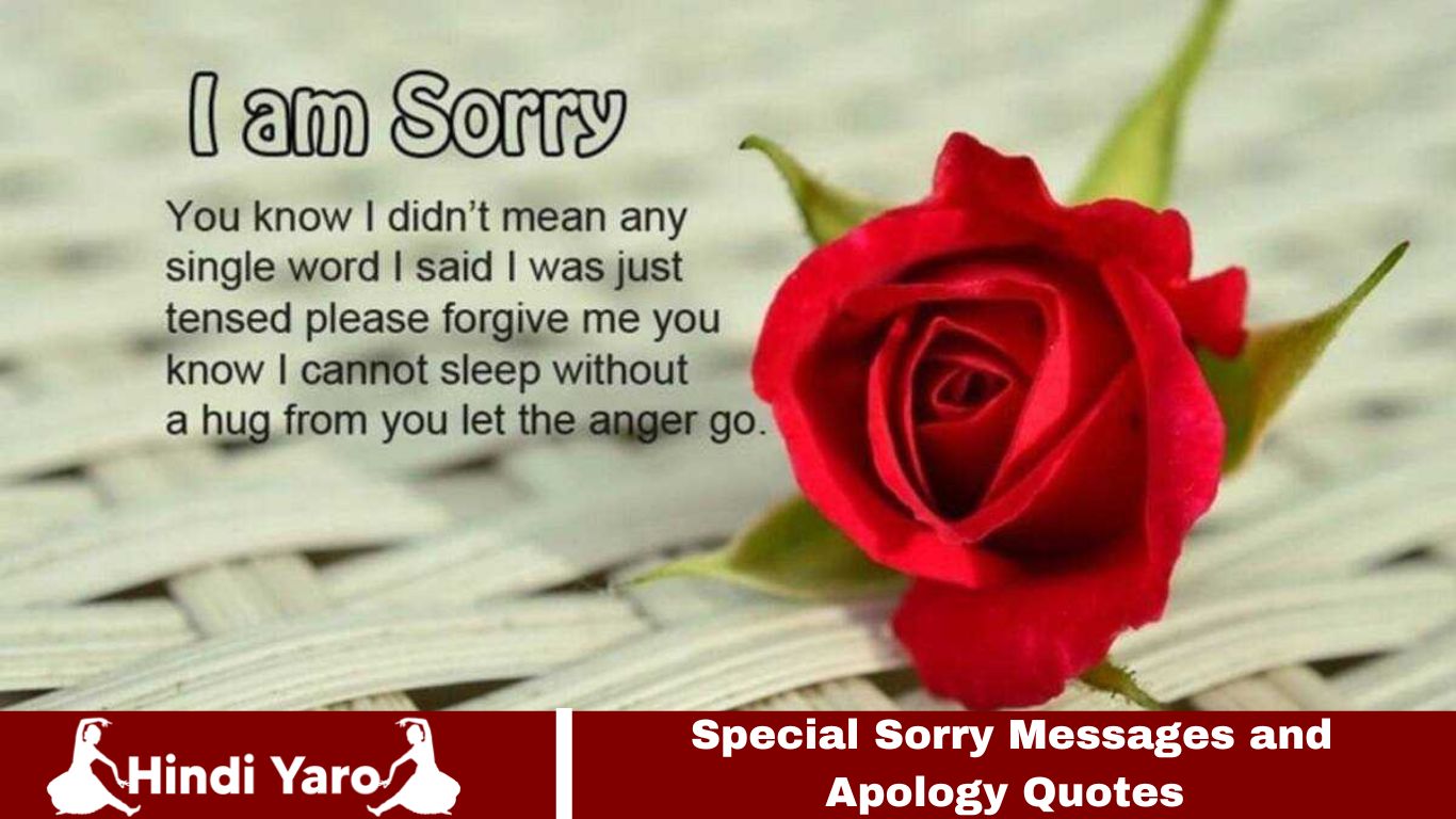 Sorry Messages