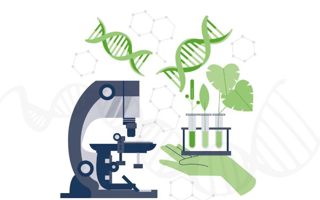 Accelerating Medical Advances - The Power of Biotechnology Translation