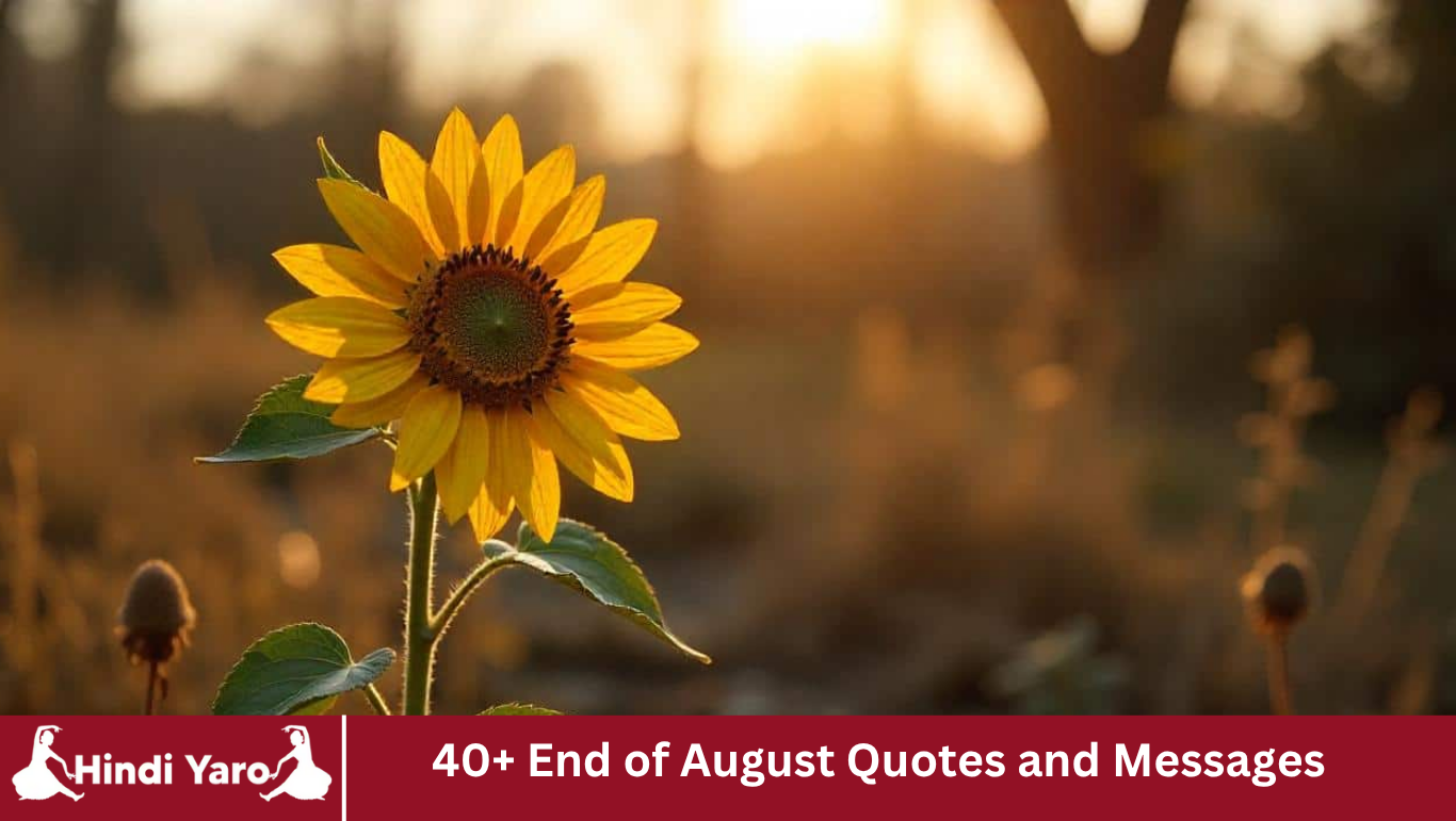40+ End of August Quotes and Messages